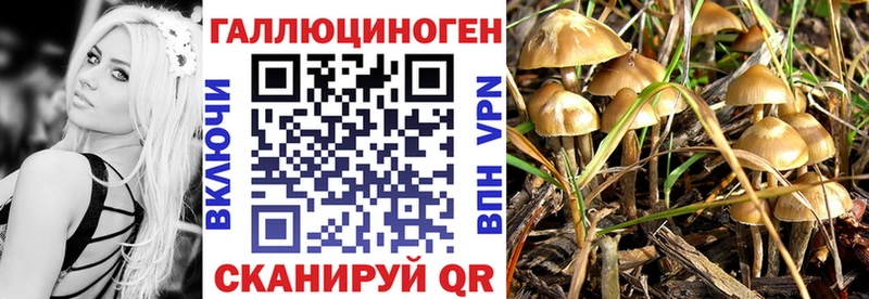 Галлюциногенные грибы Psilocybine cubensis магазин наркотиков Гаврилов-Ям